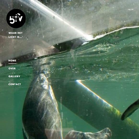 5fv.nl - Waar het licht is...